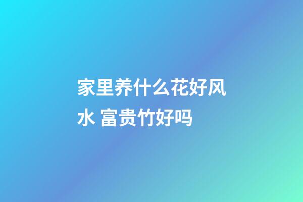 家里养什么花好风水 富贵竹好吗